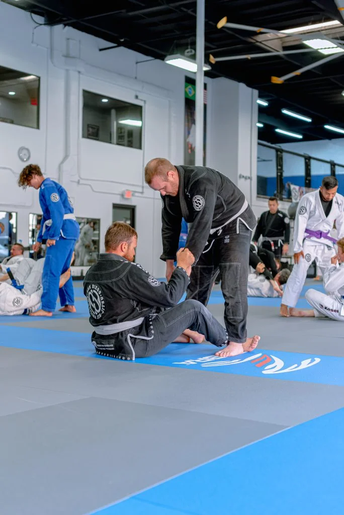 About Brazilian Jiu-Jitsu - sdbjj